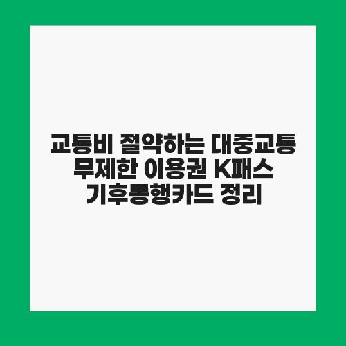 교통비 절약하는 대중교통 무제한 이용권 K패스 기후동행카드 정리