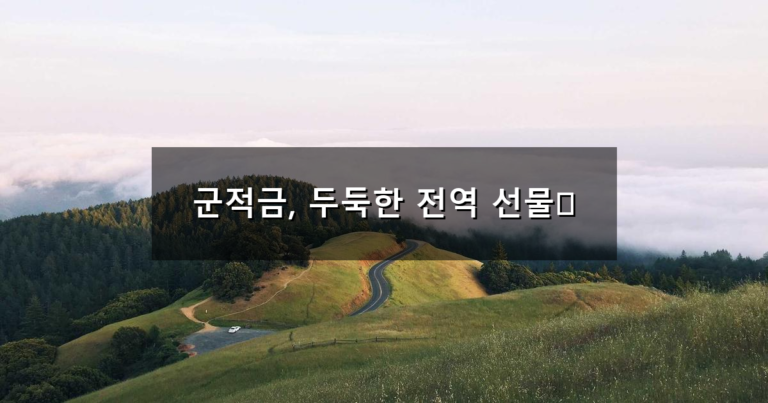 군장병 내일준비적금-전역 시 수령액 정부 매칭펀드