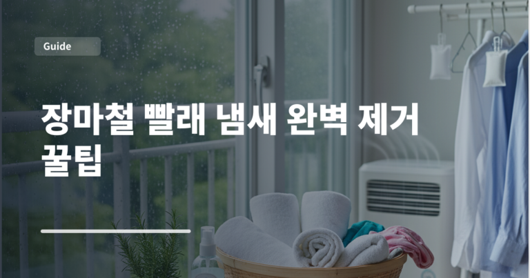 장마철 빨래 냄새 완벽 제거 꿀팁